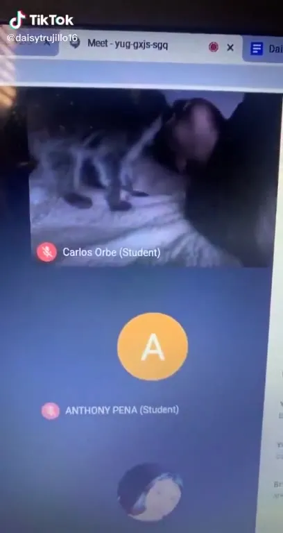 Student Caught Sleeping on Camera