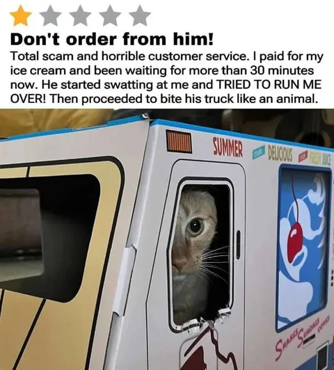 Cat Ice Cream Truck Complaint