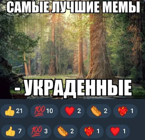 Самые лучшие мемы украденные