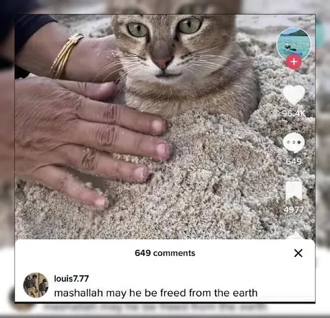 Cat Freed From the Earth