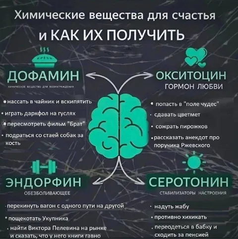 Химические вещества для счастья
