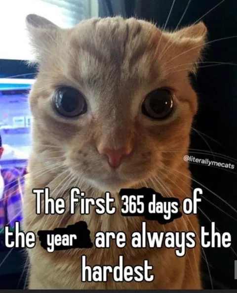 The First 365 Days