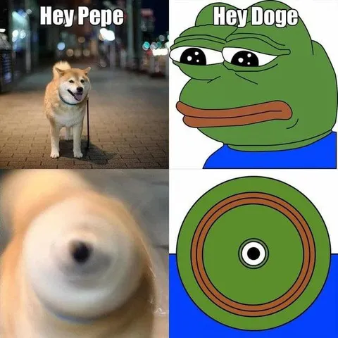 Hey Pepe Hey Doge
