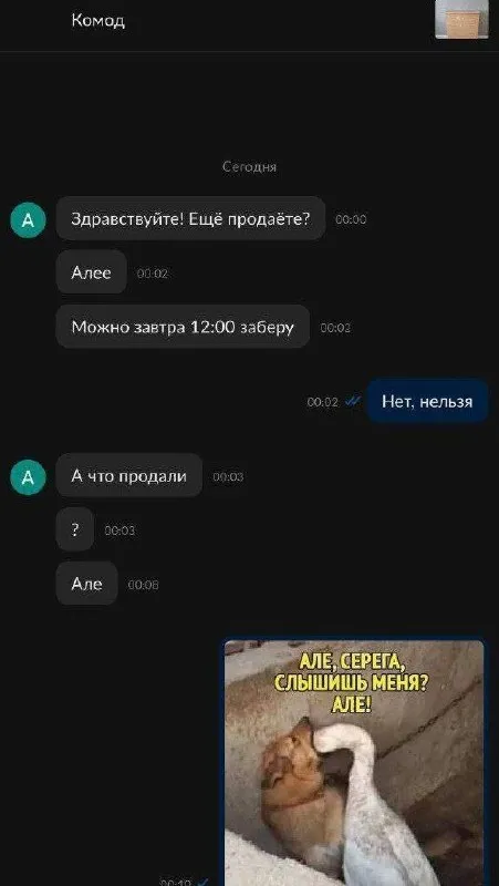 Але, Серега, слышишь меня?