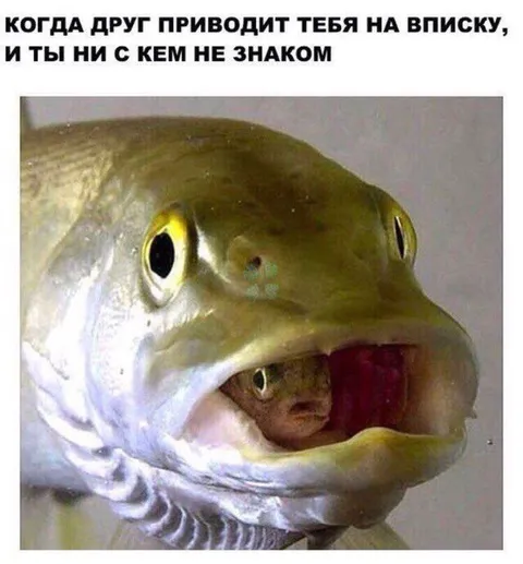 Друг привёл на вписку