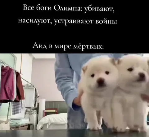 Аид среди милых щенков