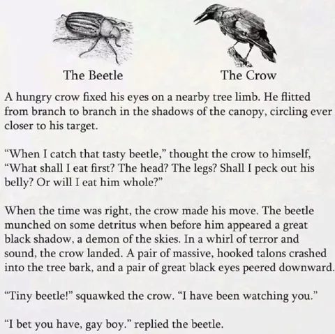 Tiny Beetle Outsmarts the Crow
