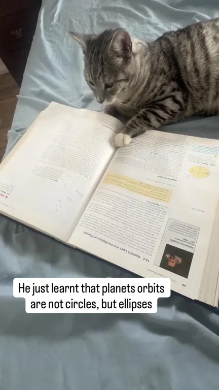 Cat Learns Planetary Orbits