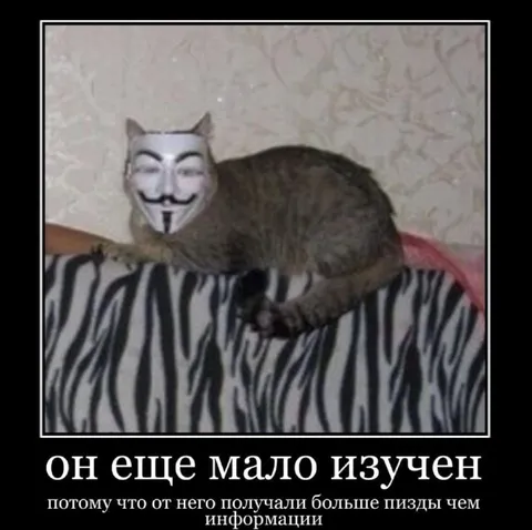 Кот в маске Гая Фокса