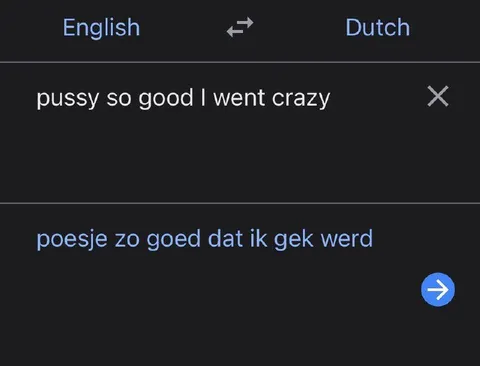 Google Translate Gets Too Honest