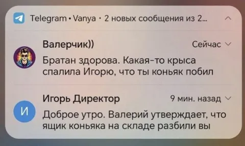 Крыса спалила коньяк