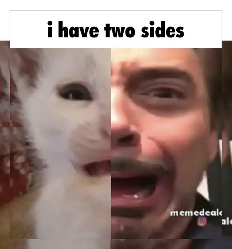 I Have Two Sides Cat Face
