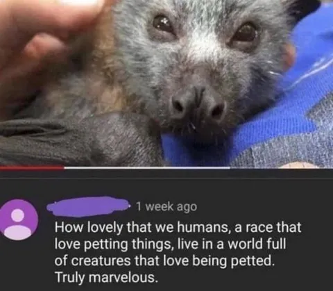 Creatures That Love Being Petted
