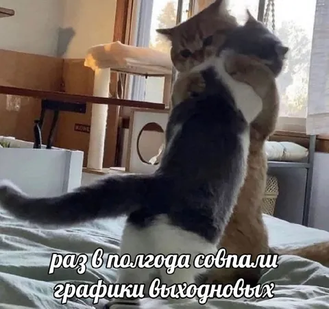 Графики выходных снова соврали