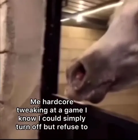 Horse Refuses to Turn Off Game