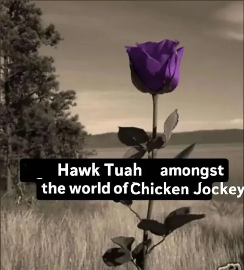 Hawk Tuah Among Chicken Jockeys