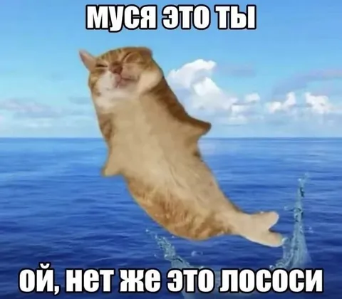 Кот, перепутавший себя с лососем