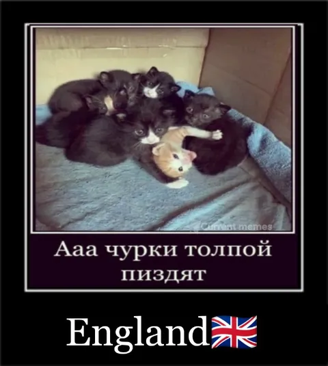 Англия и чёрные коты