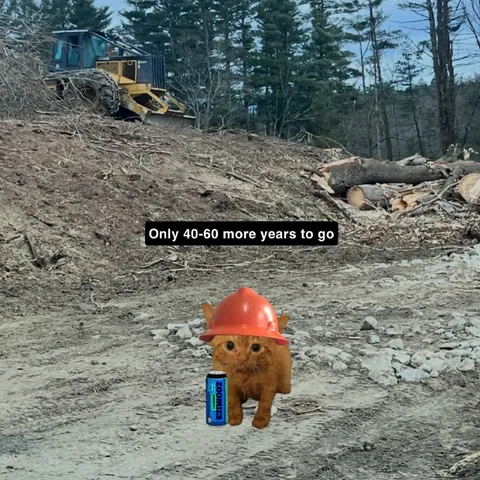 Only 40-60 More Years to Go