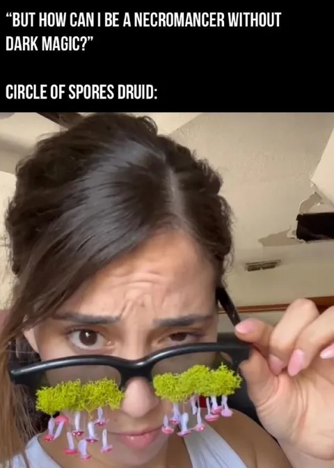 Circle of Spores Druid