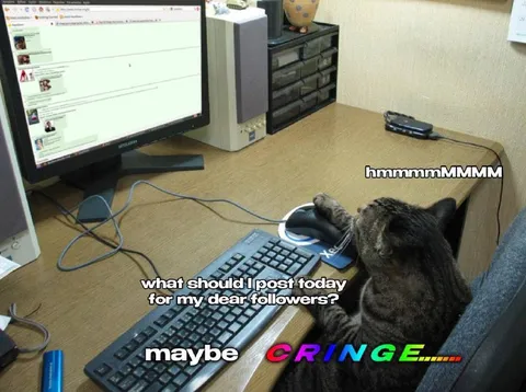 Cat Deciding What to Post