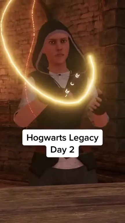 Hogwarts Legacy Day 2 VR Disaster