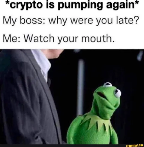 Crypto Is Pumping Again