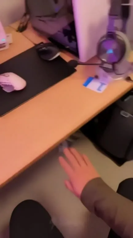 Пёс в чёрном плаще