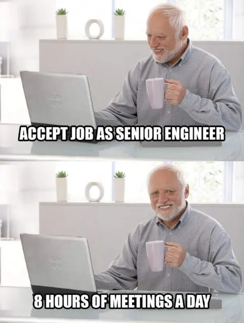 Senior Engineer Meetings