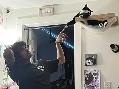 Man Reaches for Cat