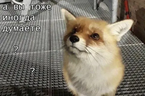 А вы тоже иногда думаете?