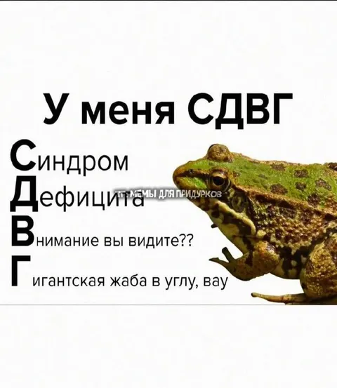 СДВГ и гигантская жаба