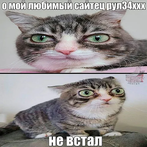 Любимый сайт, но не встал