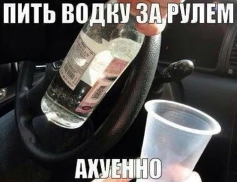Пить водку за рулём