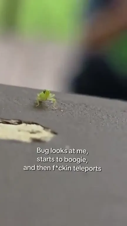 Dancing Bug Teleports Away