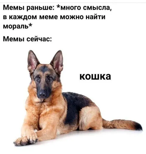 Мемы раньше и сейчас