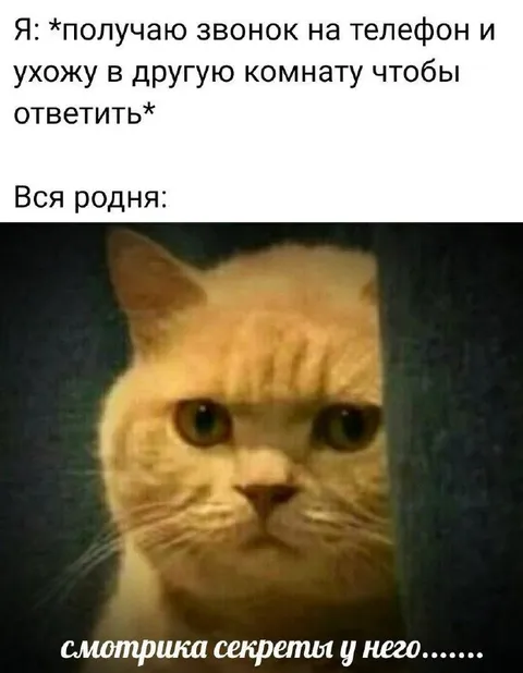 Родня подслушивает разговор