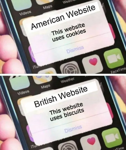 American Website Uses Cookies