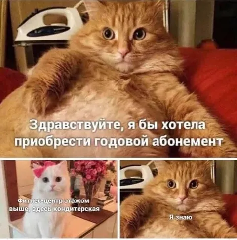 Годовой абонемент в кондитерскую