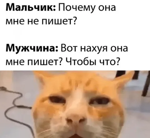 Почему она мне пишет