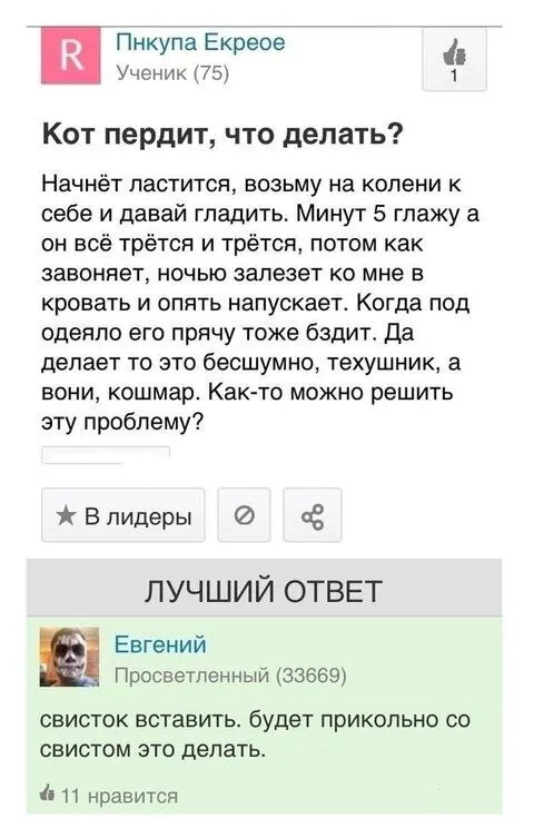 Кот пердит под одеялом