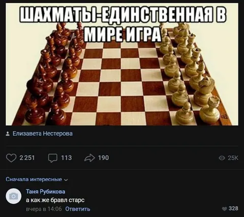 Шахматы единственная игра