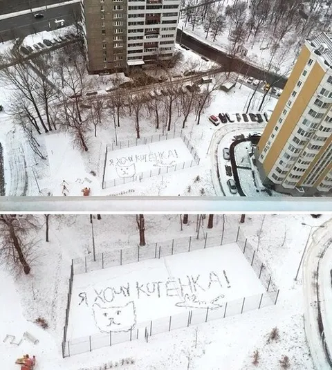 Я хочу котенка на снегу