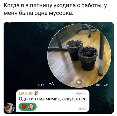 Мусорка-мимик в офисе