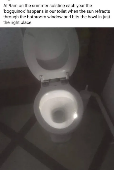 The Annual Toilet Boguinox