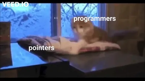 Programmers Riding Pointers