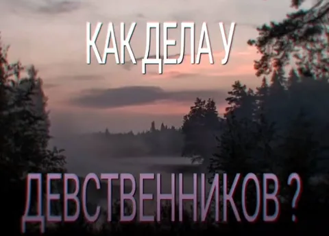 Как дела у девственников