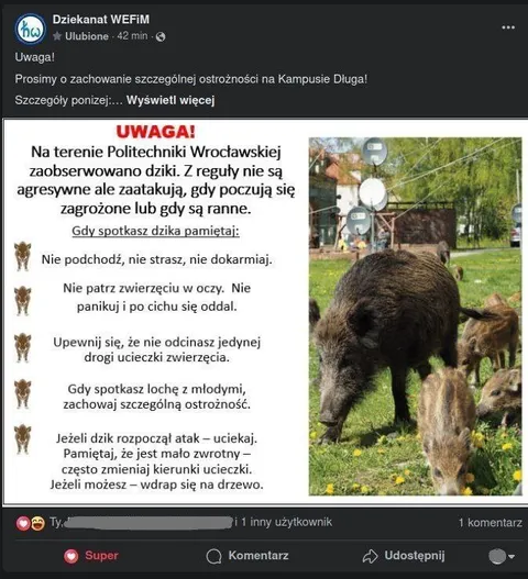 Uwaga na dziki na kampusie