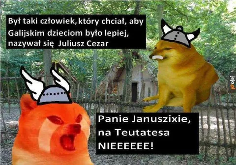 Juliusz Cezar i Januszix