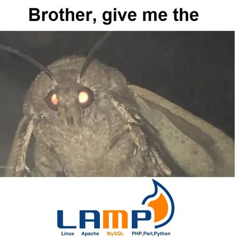 Brother, Give Me the LAMP Stack